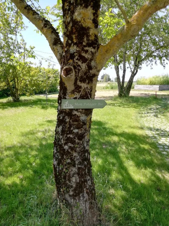La Planche Princee, Chambres D'Hotes Ecolo Et Potager Bio, Sauna Les Rosiers Exteriör bild
