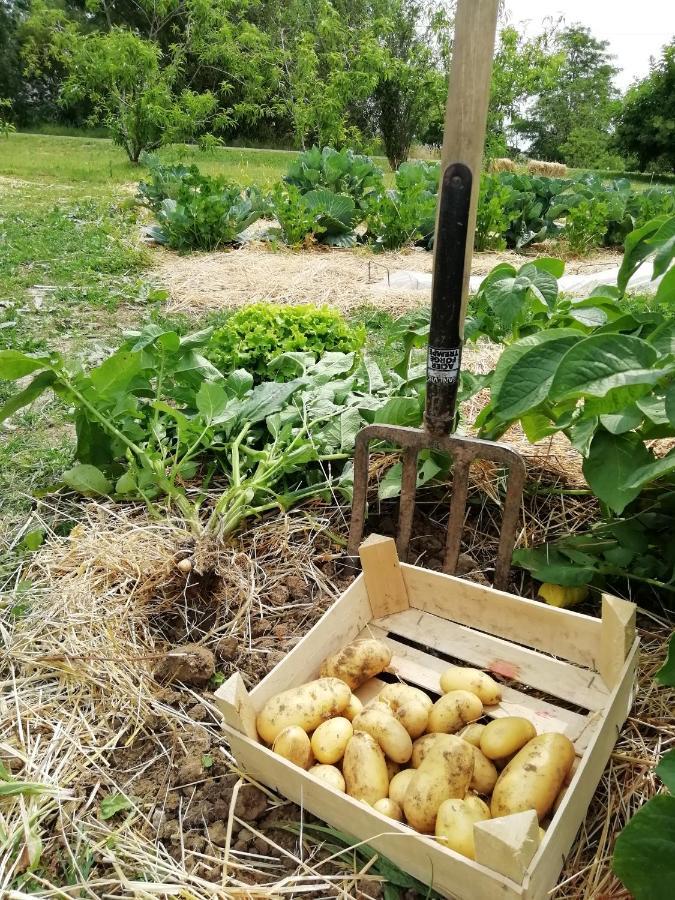 La Planche Princee, Chambres D'Hotes Ecolo Et Potager Bio, Sauna Les Rosiers Exteriör bild